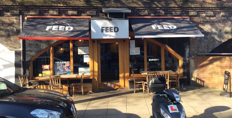 Feed